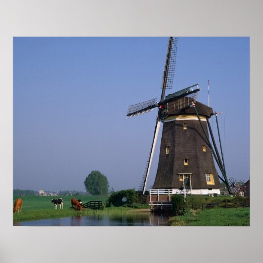 Windmills, Leidschendam, Niederlande Poster (Vorne)