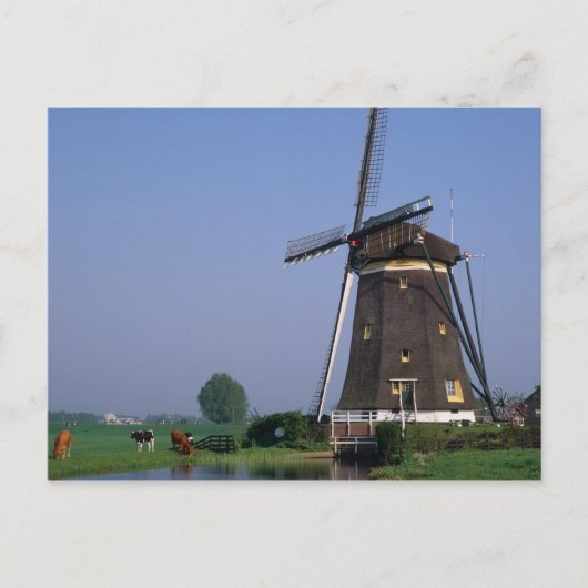 Windmills, Leidschendam, Niederlande Postkarte (Vorderseite)