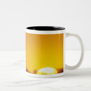 Windmühle bei Sonnenuntergang, Sinton, Texas, USA Zweifarbige Tasse