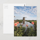 Windmühle, Blume in Holland Postkarte (Vorne/Hinten)