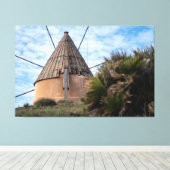Windmühle in Cabo de Gata Leinwanddruck (Insitu (Holzboden))