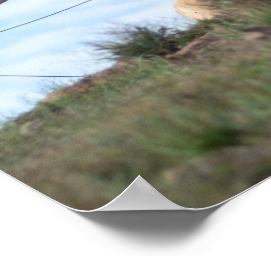 Windmühle in der Leinwand Cabo de Gata Poster (Ecke)