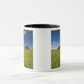 Windmühle in Michailovskoje Tasse (Zentrum)