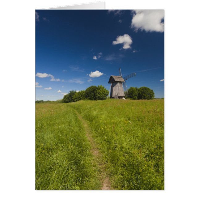 Windmühle in Mikhailovskoye (Vorne)