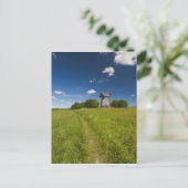 Windmühle in Mikhailovskoye Postkarte (Stehend Vorderseite)