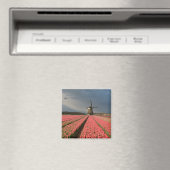 Windmühle mit rosa Tulpen im Frühjahr Magnet (In Situ (Geschirrspüler))