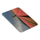 Windmühle mit rosa Tulpen im Frühjahr Magnet (Rechte Seite)