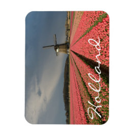 Windmühle mit rosa Tulpen im Frühjahr Magnet