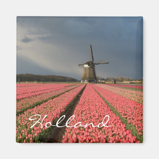 Windmühle mit rosa Tulpen im Frühjahr Magnet (Vorne)