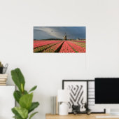 Windmühle mit rosa Tulpen im Frühjahr Poster (Heimbüro)