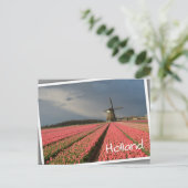 Windmühle mit rosa Tulpen im Frühjahr Postkarte (Stehend Vorderseite)