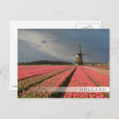 Windmühle mit rosa Tulpen im Frühjahr Postkarte (Vorne/Hinten)