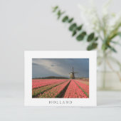 Windmühle mit rosa Tulpen im Frühjahr Postkarte (Stehend Vorderseite)