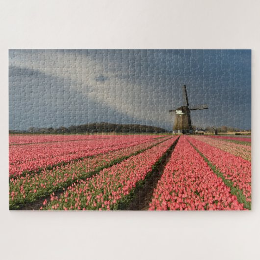 Windmühle mit rosa Tulpen im Frühjahr Puzzle (Horizontal)