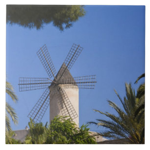 Windmühle, Palma, Mallorca, Spanien Fliese