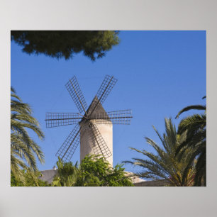 Windmühle, Palma, Mallorca, Spanien Poster