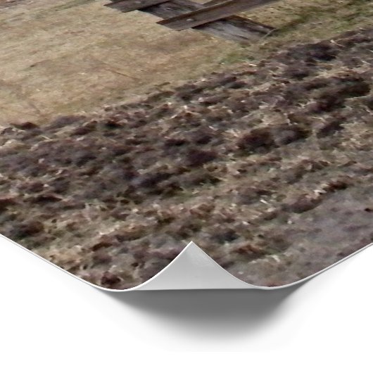 Windmühle Poster (Ecke)