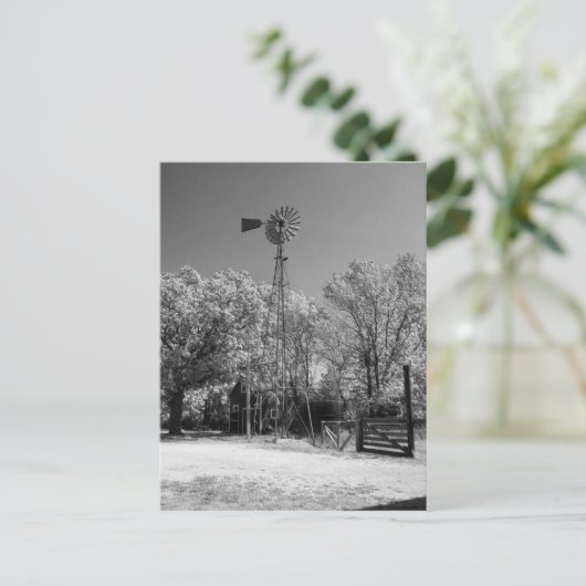 Windmühle Postkarte (Stehend Vorderseite)