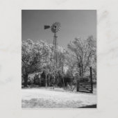 Windmühle Postkarte (Vorderseite)