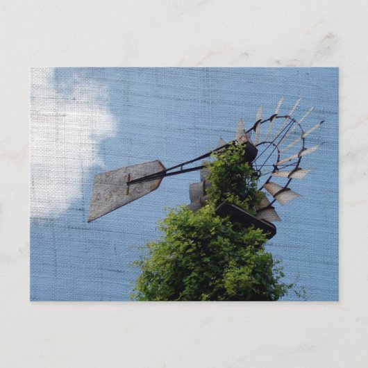 Windmühle Postkarte (Vorderseite)