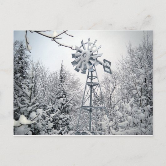 Windmühle und Bäume im Schnee bedeckt. Postkarte (Vorderseite)