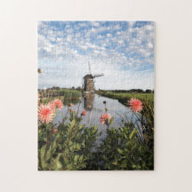 Windmühle und Blumen in den Niederlanden
