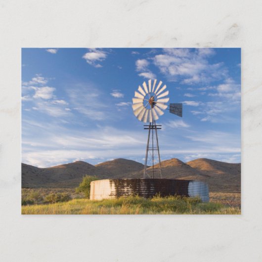 Windmühle und Damm im Karoo bei Sonnenaufgang Postkarte (Vorderseite)