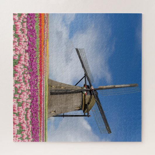 Windmühle und farbenfrohe Tulips Amsterdam Niederl Puzzle (Horizontal)