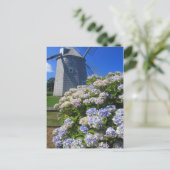 Windmühle und Hydrangeas Cape Cod Postkarte (Stehend Vorderseite)