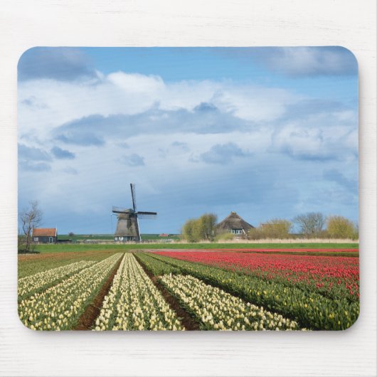 Windmühle und Tulpelandschaftmousepad Mousepad (Vorne)