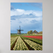 Windmühle und Tulpen Poster (Vorne)