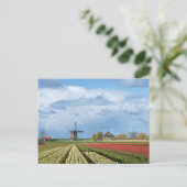 Windmühle und Tulpenlandschaft Postkarte (Stehend Vorderseite)