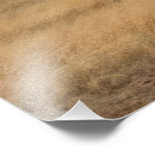 Windmühle und Windkraftanlage Fotodruck (Ecke)