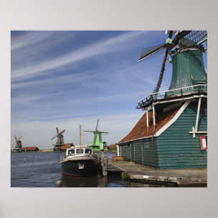 Windmühle, Zaanse Schans, Holland, Niederlande Poster