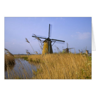 Windmühlen am Kanal in Kinderdijk, 2