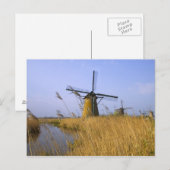 Windmühlen am Kanal in Kinderdijk, 2 Postkarte (Vorne/Hinten)