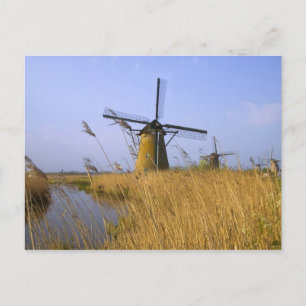 Windmühlen am Kanal in Kinderdijk, 2 Postkarte