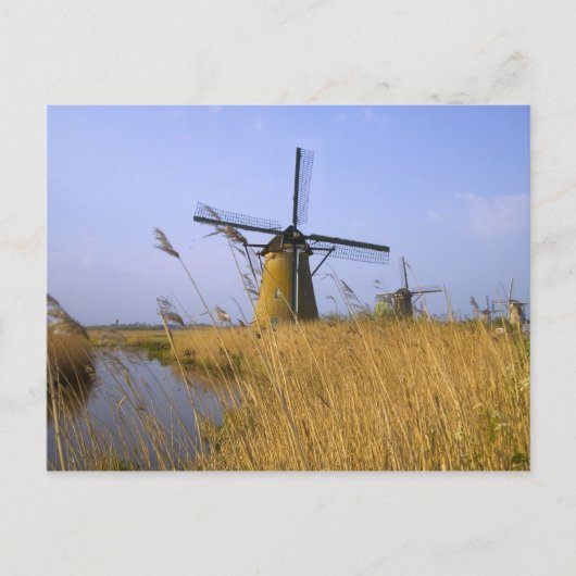 Windmühlen am Kanal in Kinderdijk, 2 Postkarte (Vorderseite)