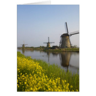 Windmühlen entlang des Kanals in Kinderdijk,