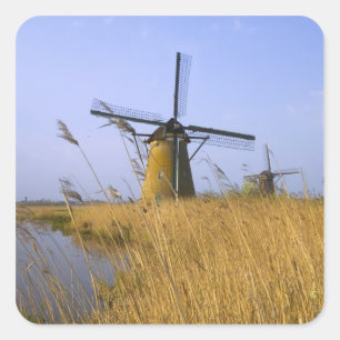 Windmühlen entlang des Kanals in Kinderdijk, 2 Quadratischer Aufkleber