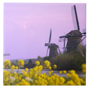 Windmühlen entlang des Kanals in Kinderdijk, Fliese