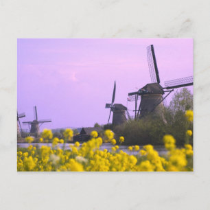 Windmühlen entlang des Kanals in Kinderdijk, Postkarte