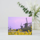 Windmühlen entlang des Kanals in Kinderdijk, Postkarte (Stehend Vorderseite)