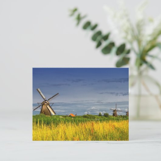 Windmühlen in Kinderdijk, Niederlande Postkarte (Stehend Vorderseite)