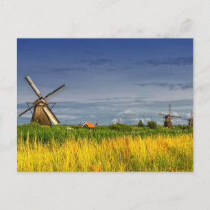 Windmühlen in Kinderdijk, Niederlande Postkarte