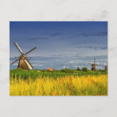 Windmühlen in Kinderdijk, Niederlande Postkarte (Vorderseite)