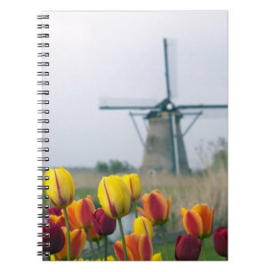 Windmühlen und Tulpen am Kanal in Notizblock