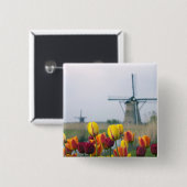 Windmühlen und Tulpen entlang des Kanals in Button (Vorne & Hinten)