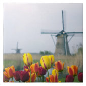 Windmühlen und Tulpen entlang des Kanals in Fliese (Vorderseite)