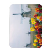 Windmühlen und Tulpen entlang des Kanals in Magnet (Vertikal)